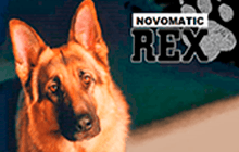 rex-4161