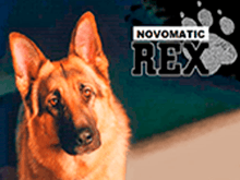 rex-4161